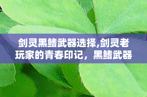 剑灵黑鳍武器选择,剑灵老玩家的青春印记,黑鳍武器藏着的水月往事 剑灵黑鳍武器选择,剑灵老玩家的青春印记,黑鳍武器藏着的水月往事