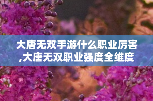 大唐无双手游什么职业厉害,大唐无双职业强度全维度解读，适合你的就是最厉害的