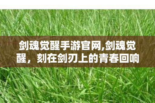 剑魂觉醒手游官网,剑魂觉醒,刻在剑刃上的青春回响 剑魂觉醒手游官网,剑魂觉醒,刻在剑刃上的青春回响