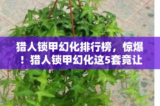 猎人锁甲幻化排行榜,惊爆!猎人锁甲幻化这5套竟让BOSS都看呆,你见过吗? 猎人锁甲幻化排行榜,惊爆!猎人锁甲幻化这5套竟让BOSS都看呆,你见过吗?