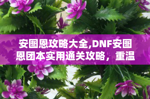安图恩攻略大全,DNF安图恩团本实用通关攻略，重温经典团本的协作乐趣