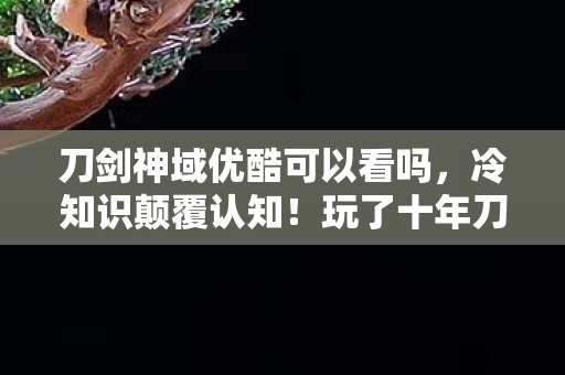 刀剑神域优酷可以看吗，冷知识颠覆认知！玩了十年刀剑神域，真相让我目瞪口呆
