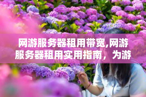 网游服务器租用带宽,网游服务器租用实用指南,为游戏项目筑牢稳定运行根基 网游服务器租用带宽,网游服务器租用实用指南,为游戏项目筑牢稳定运行根基