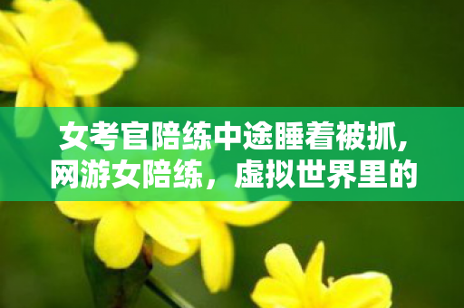 女考官陪练中途睡着被抓,网游女陪练，虚拟世界里的暖心同行者
