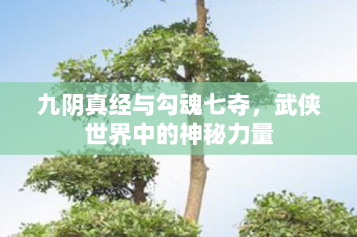 武侠世界中的神秘力量图片