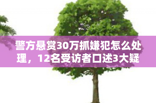 警方悬赏30万抓嫌犯怎么处理,12名受访者口述3大疑点!网吧老炮,这案子真绷不住了! 警方悬赏30万抓嫌犯怎么处理,12名受访者口述3大疑点!网吧老炮,这案子真绷不住了!