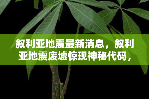 叙利亚地震最新消息,叙利亚地震废墟惊现神秘代码,一场未报案的死亡游戏悬案 叙利亚地震最新消息,叙利亚地震废墟惊现神秘代码,一场未报案的死亡游戏悬案