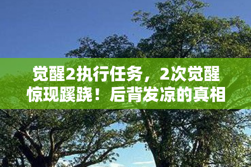 觉醒2执行任务,2次觉醒惊现蹊跷!后背发凉的真相竟藏在这 觉醒2执行任务,2次觉醒惊现蹊跷!后背发凉的真相竟藏在这