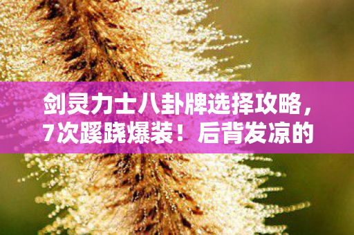 剑灵力士八卦牌选择攻略,7次蹊跷爆装!后背发凉的真相竟藏在这串神秘数字里 剑灵力士八卦牌选择攻略,7次蹊跷爆装!后背发凉的真相竟藏在这串神秘数字里