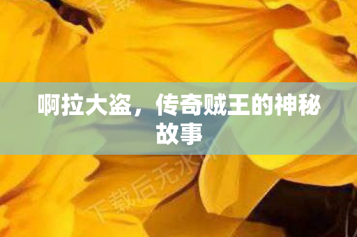 传奇贼王的神秘故事图片