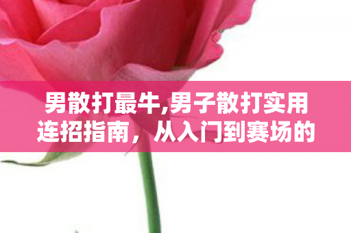 男散打最牛,男子散打实用连招指南,从入门到赛场的进阶技巧分享 男散打最牛,男子散打实用连招指南,从入门到赛场的进阶技巧分享