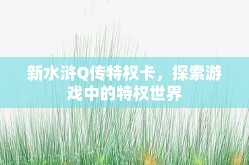 探索游戏中的特权世界图片