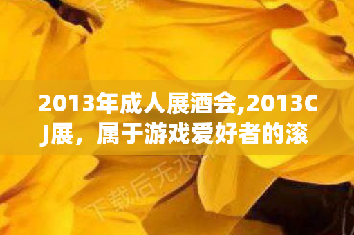 2013年成人展酒会,2013CJ展,属于游戏爱好者的滚烫盛夏记忆 2013年成人展酒会,2013CJ展,属于游戏爱好者的滚烫盛夏记忆