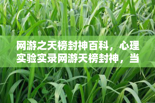网游之天榜封神百科，心理实验实录网游天榜封神，当再来一局成为细思极恐的沉迷陷阱