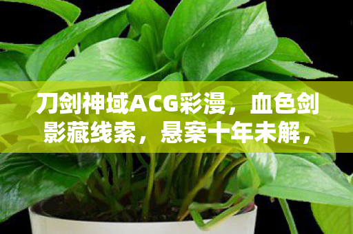 刀剑神域ACG彩漫，血色剑影藏线索，悬案十年未解，毛骨悚然困兽局