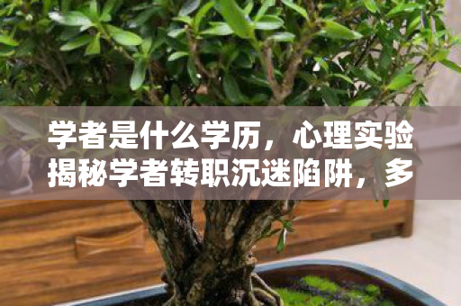 学者是什么学历,心理实验揭秘学者转职沉迷陷阱,多巴胺操控下的细思极恐循环 学者是什么学历,心理实验揭秘学者转职沉迷陷阱,多巴胺操控下的细思极恐循环