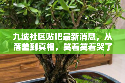 九城社区贴吧最新消息,从落差到真相,笑着笑着哭了,九城贴吧里我骂遍天下却难舍游戏魂 九城社区贴吧最新消息,从落差到真相,笑着笑着哭了,九城贴吧里我骂遍天下却难舍游戏魂