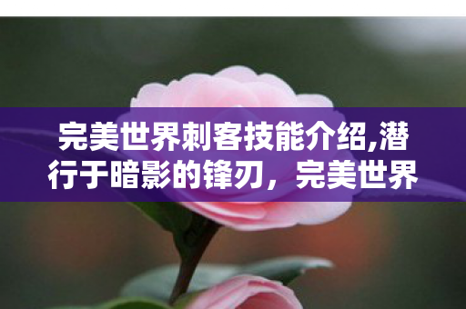 完美世界刺客技能介绍,潜行于暗影的锋刃，完美世界刺客技能全解析