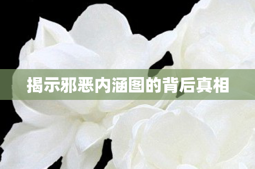 揭示邪恶内涵图的背后真相图片