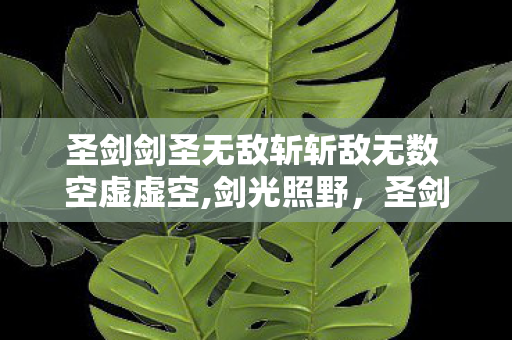 圣剑剑圣无敌斩斩敌无数 空虚虚空,剑光照野,圣剑剑圣的千年护民传奇 圣剑剑圣无敌斩斩敌无数 空虚虚空,剑光照野,圣剑剑圣的千年护民传奇