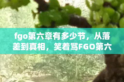 fgo第六章有多少节,从落差到真相,笑着骂FGO第六章,笑着笑着就哭了 fgo第六章有多少节,从落差到真相,笑着骂FGO第六章,笑着笑着就哭了