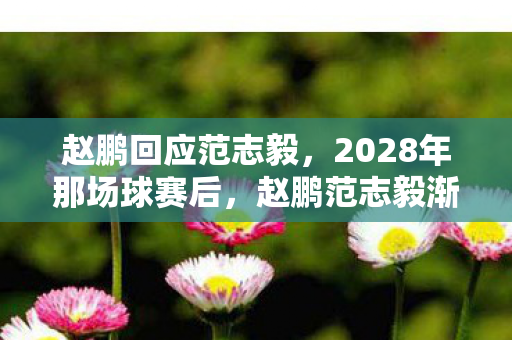 赵鹏回应范志毅，2028年那场球赛后，赵鹏范志毅渐行渐远，鼻子一酸忆往昔