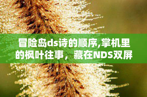 冒险岛ds诗的顺序,掌机里的枫叶往事,藏在NDS双屏间的冒险岛旧梦 冒险岛ds诗的顺序,掌机里的枫叶往事,藏在NDS双屏间的冒险岛旧梦