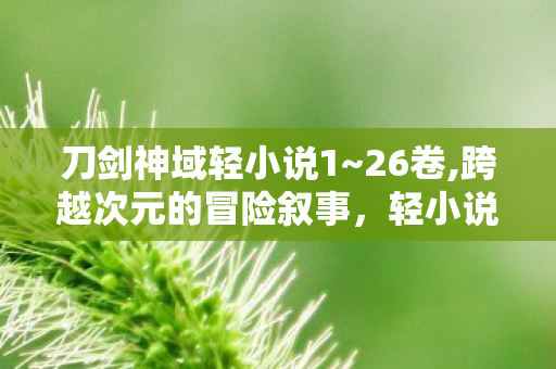 刀剑神域轻小说1~26卷,跨越次元的冒险叙事,轻小说的长久魅力 刀剑神域轻小说1~26卷,跨越次元的冒险叙事,轻小说的长久魅力