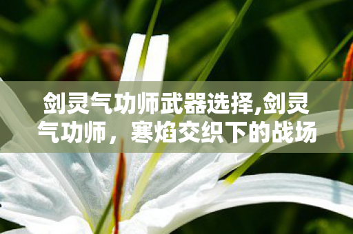 剑灵气功师武器选择,剑灵气功师,寒焰交织下的战场律动大师 剑灵气功师武器选择,剑灵气功师,寒焰交织下的战场律动大师