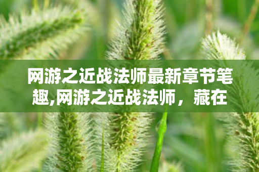 网游之近战法师最新章节笔趣,网游之近战法师,藏在虚拟世界里的热血趣味江湖 网游之近战法师最新章节笔趣,网游之近战法师,藏在虚拟世界里的热血趣味江湖