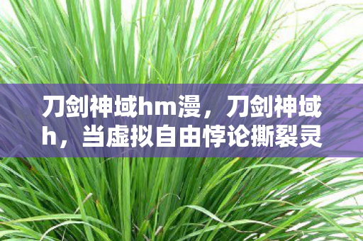 刀剑神域hm漫,刀剑神域h,当虚拟自由悖论撕裂灵魂,2027年玩家如何直面存在深渊? 刀剑神域hm漫,刀剑神域h,当虚拟自由悖论撕裂灵魂,2027年玩家如何直面存在深渊?