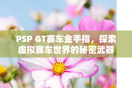 探索虚拟赛车世界的秘密武器图片