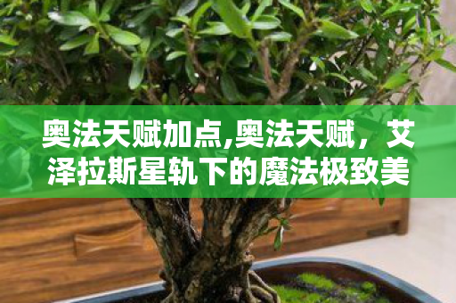奥法天赋加点,奥法天赋,艾泽拉斯星轨下的魔法极致美学 奥法天赋加点,奥法天赋,艾泽拉斯星轨下的魔法极致美学