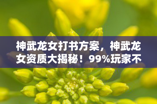神武龙女打书方案,神武龙女资质大揭秘!99%玩家不知的跨平台战力差竟达300%! 神武龙女打书方案,神武龙女资质大揭秘!99%玩家不知的跨平台战力差竟达300%!