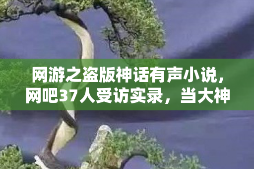 网游之盗版神话有声小说，网吧37人受访实录，当大神哭成萌新，绷不住的真相竟是……