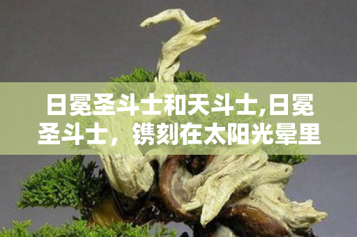 日冕圣斗士和天斗士,日冕圣斗士,镌刻在太阳光晕里的圣斗士浪漫传说 日冕圣斗士和天斗士,日冕圣斗士,镌刻在太阳光晕里的圣斗士浪漫传说