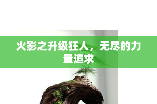 火影之升级狂人图片