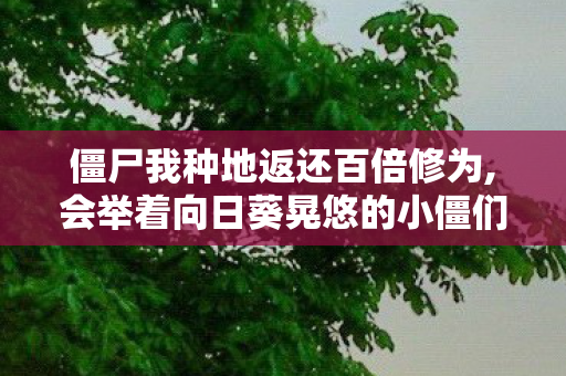 僵尸我种地返还百倍修为,会举着向日葵晃悠的小僵们,把后山撂荒坡种成了全村的宝藏田 僵尸我种地返还百倍修为,会举着向日葵晃悠的小僵们,把后山撂荒坡种成了全村的宝藏田
