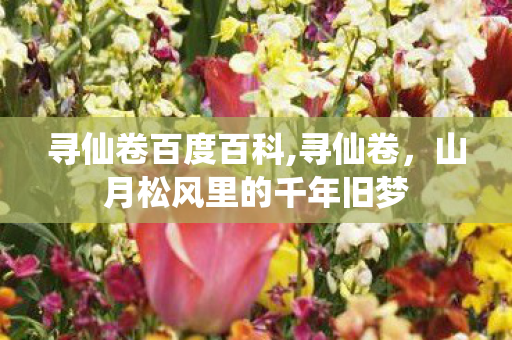 寻仙卷百度百科,寻仙卷,山月松风里的千年旧梦 寻仙卷百度百科,寻仙卷,山月松风里的千年旧梦