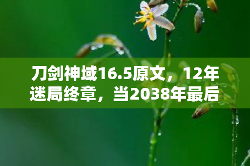 刀剑神域16.5原文,12年迷局终章,当2038年最后一把圣剑消散,谁在虚拟世界留下泪目刻痕 刀剑神域16.5原文,12年迷局终章,当2038年最后一把圣剑消散,谁在虚拟世界留下泪目刻痕