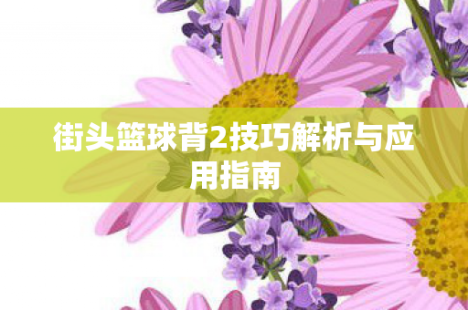 街头篮球背2技巧解析与应用指南图片