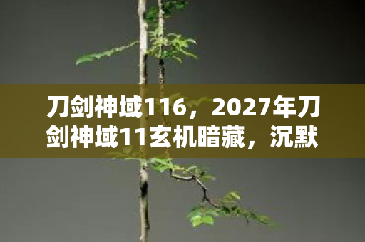 刀剑神域116,2027年刀剑神域11玄机暗藏,沉默背后是救赎还是深渊? 刀剑神域116,2027年刀剑神域11玄机暗藏,沉默背后是救赎还是深渊?