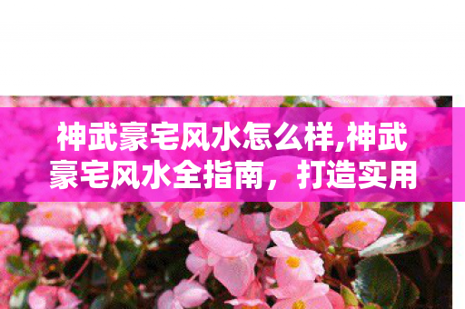 神武豪宅风水怎么样,神武豪宅风水全指南，打造实用又舒心的专属家园