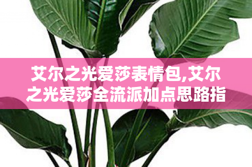 艾尔之光爱莎表情包,艾尔之光爱莎全流派加点思路指南,适配不同玩法的最优方案 艾尔之光爱莎表情包,艾尔之光爱莎全流派加点思路指南,适配不同玩法的最优方案