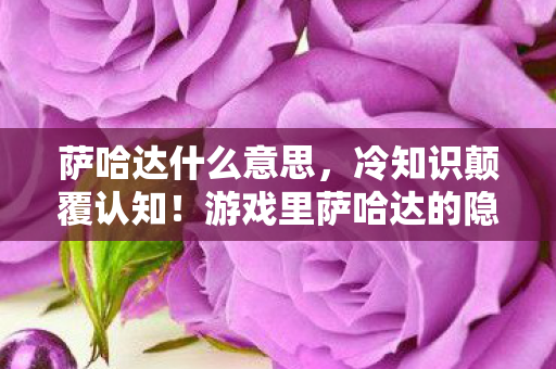 萨哈达什么意思，冷知识颠覆认知！游戏里萨哈达的隐藏设计，让你目瞪口呆！