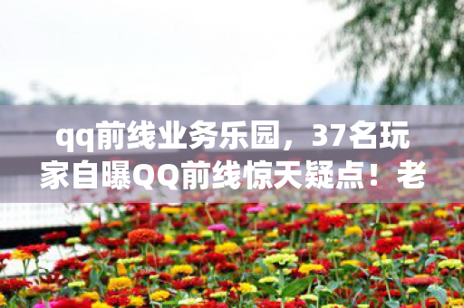 qq前线业务乐园,37名玩家自曝QQ前线惊天疑点!老炮听完全程绷不住,这坑我填了十五年? qq前线业务乐园,37名玩家自曝QQ前线惊天疑点!老炮听完全程绷不住,这坑我填了十五年?
