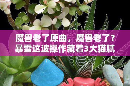 魔兽老了原曲,魔兽老了?暴雪这波操作藏着3大猫腻,老玩家直呼上头到心梗 魔兽老了原曲,魔兽老了?暴雪这波操作藏着3大猫腻,老玩家直呼上头到心梗