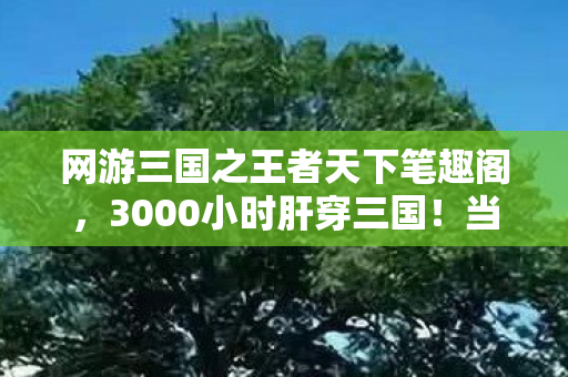 网游三国之王者天下笔趣阁,3000小时肝穿三国!当全服第一突然删号,背后藏着多少兄弟情与背叛刀? 网游三国之王者天下笔趣阁,3000小时肝穿三国!当全服第一突然删号,背后藏着多少兄弟情与背叛刀?