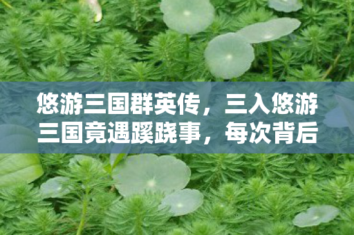 悠游三国群英传,三入悠游三国竟遇蹊跷事,每次背后都发凉! 悠游三国群英传,三入悠游三国竟遇蹊跷事,每次背后都发凉!