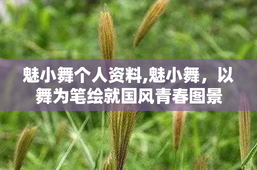 魅小舞个人资料,魅小舞,以舞为笔绘就国风青春图景 魅小舞个人资料,魅小舞,以舞为笔绘就国风青春图景